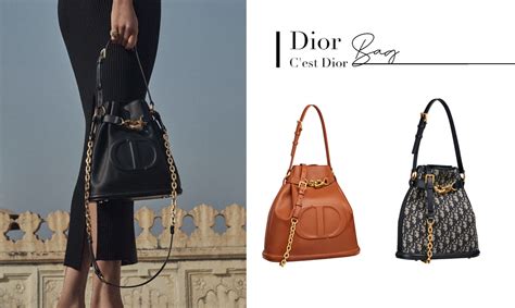 small c'est Dior bag